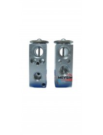 FORD FİESTA YM Expansion Valfler