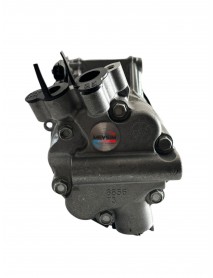 SANDEN 1761 RENAULT FLUANCE MEGANE  KLİMA KOMPRESORU